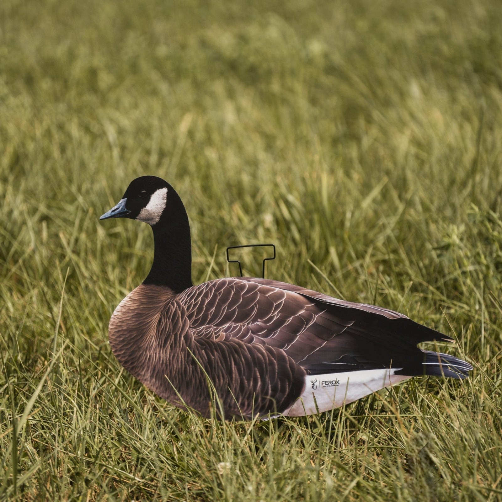 FEROX Canada Goose silhouette decoy showing realistic contrast and shape