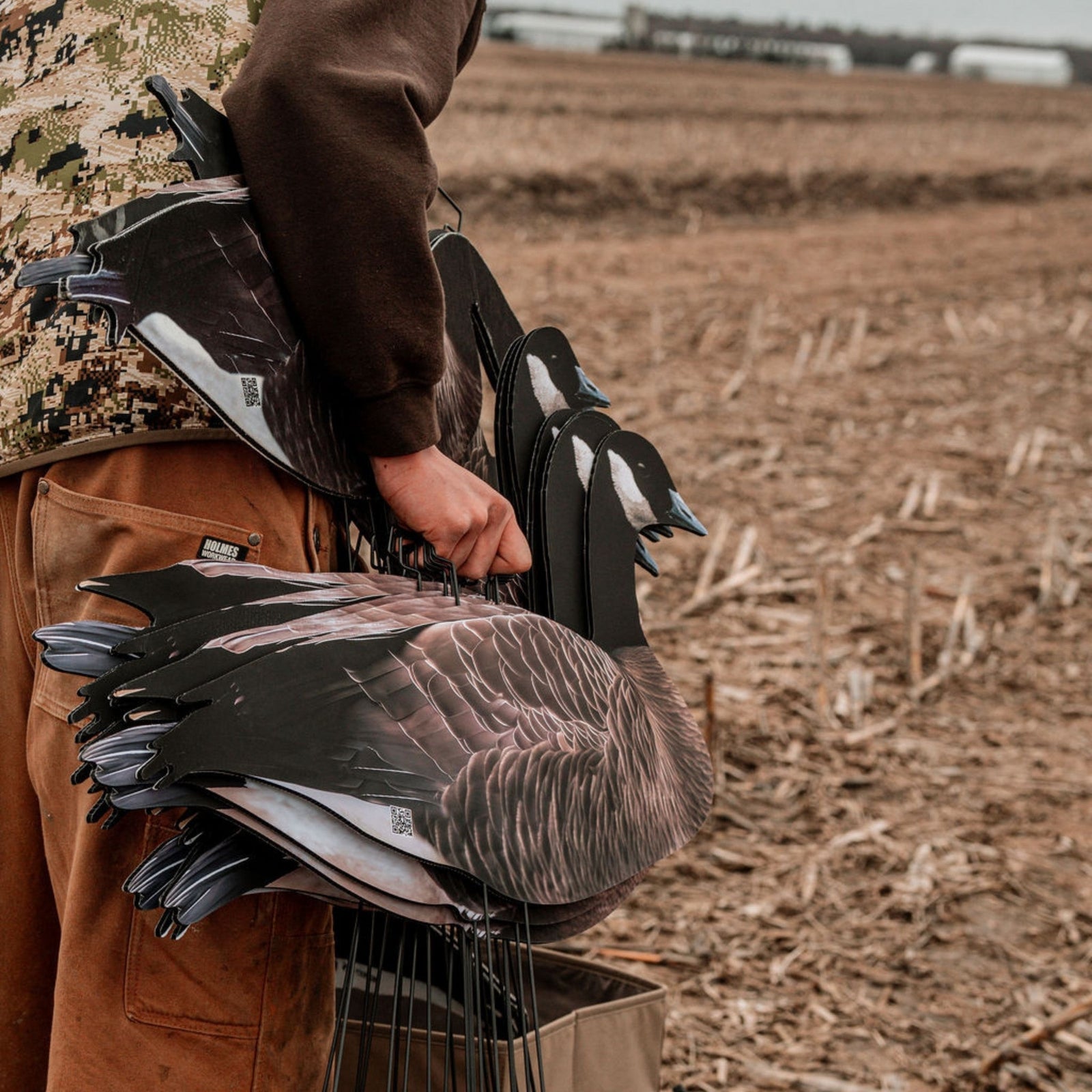 Hunter carrying FEROX Canada goose silhouette decoys into a stubble field