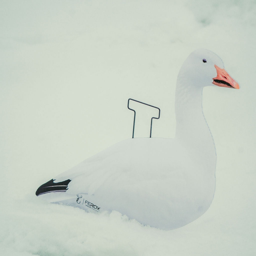Appelants Silhouettes Oie des Neiges