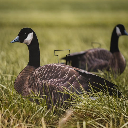 Canada Goose Silhouette Decoys- FEROX Outdoors Co.