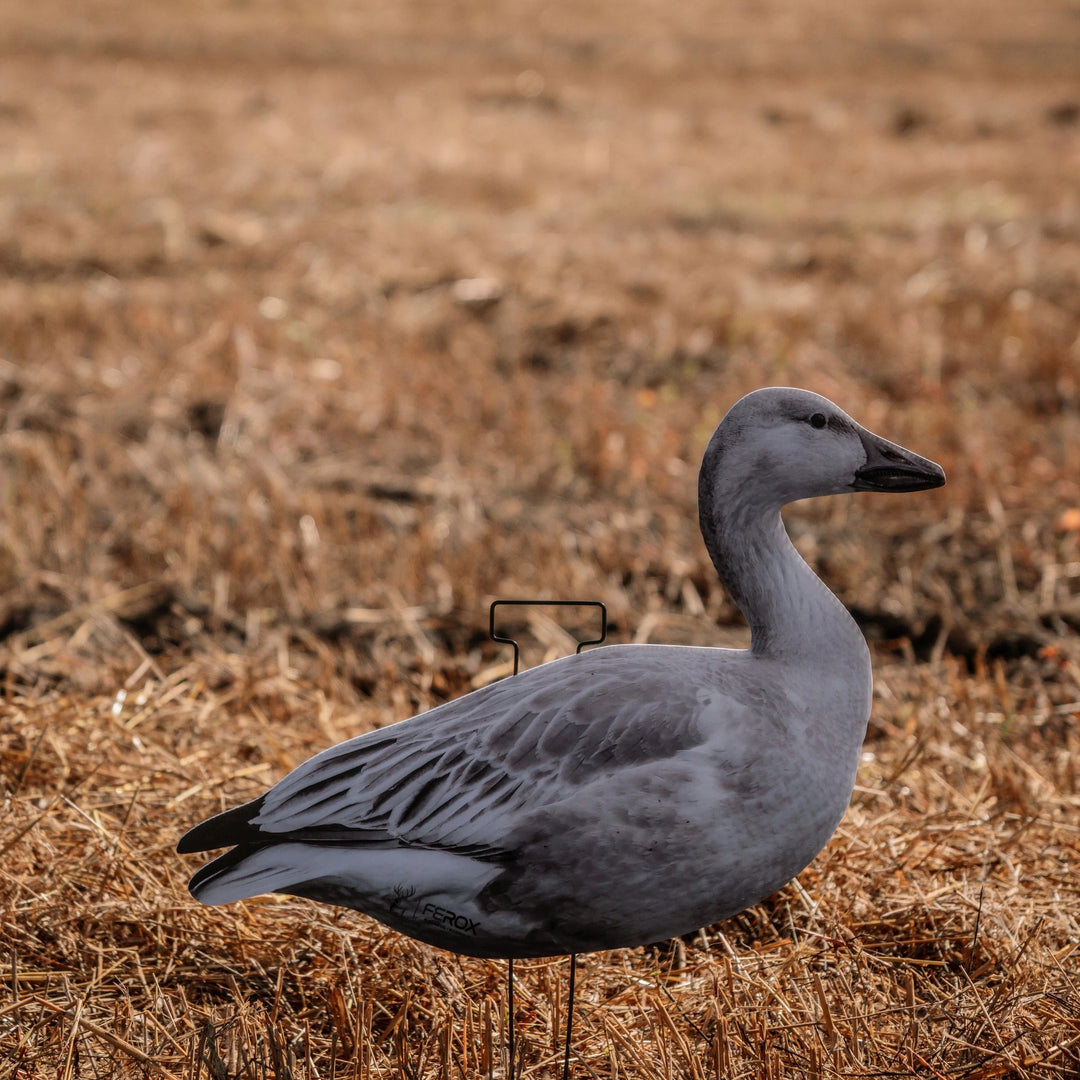 Juveniles Snow Goose Silhouette Decoys
