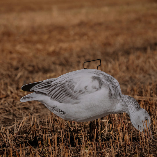 Juveniles Snow Goose Silhouette Decoys