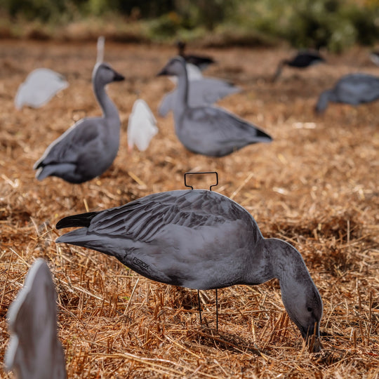 Juveniles Snow Goose Silhouette Decoys