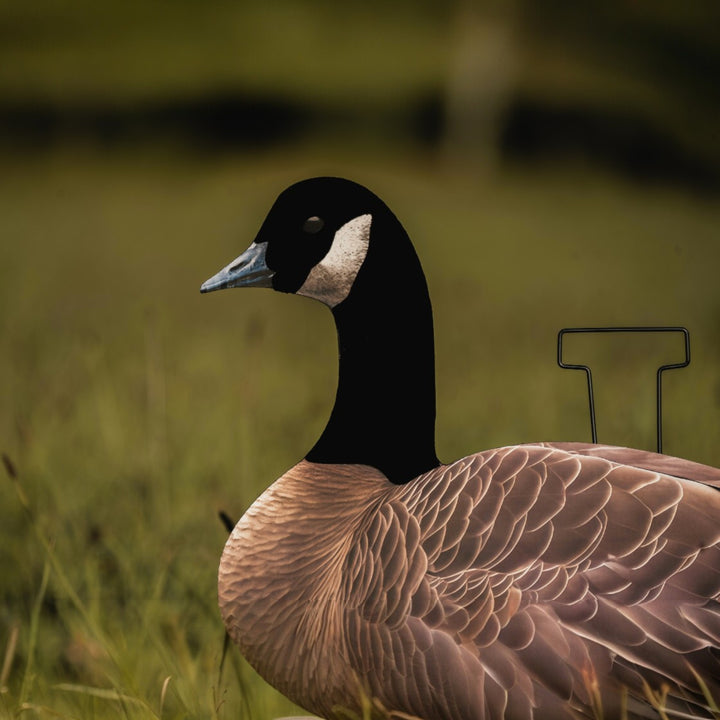 Head Flocked Canada Goose Silhouette Decoys - FEROX Outdoors Co.
