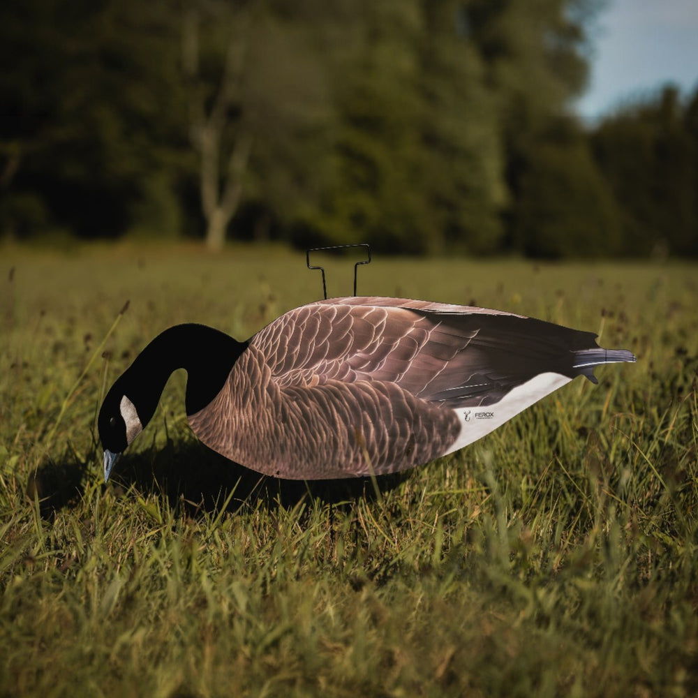 Head Flocked Canada Goose Silhouette Decoys - FEROX Outdoors Co.