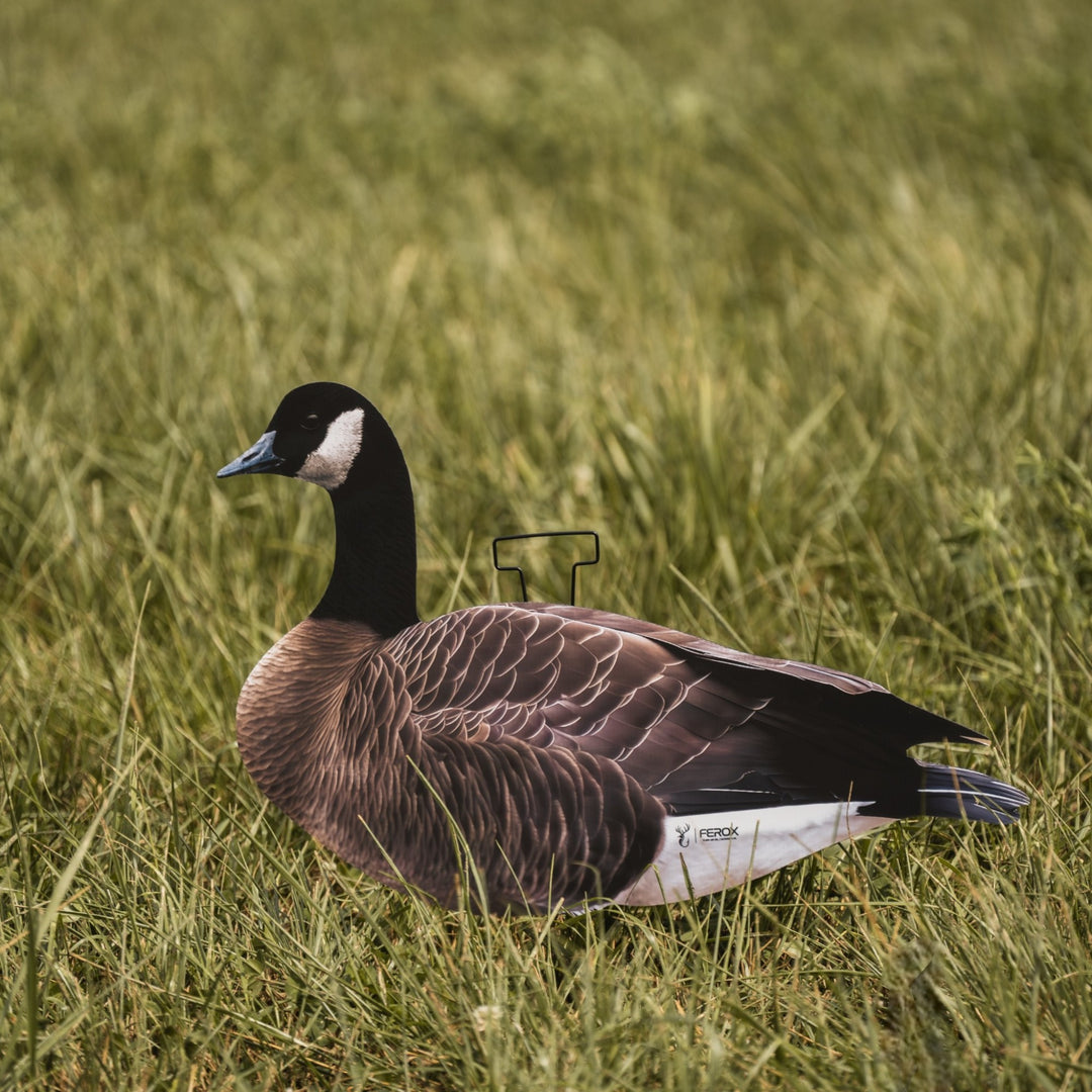 Canada Goose Silhouette Decoys- FEROX Outdoors Co.