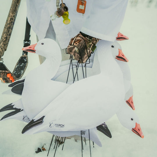 Appelants Silhouettes Oie des Neiges