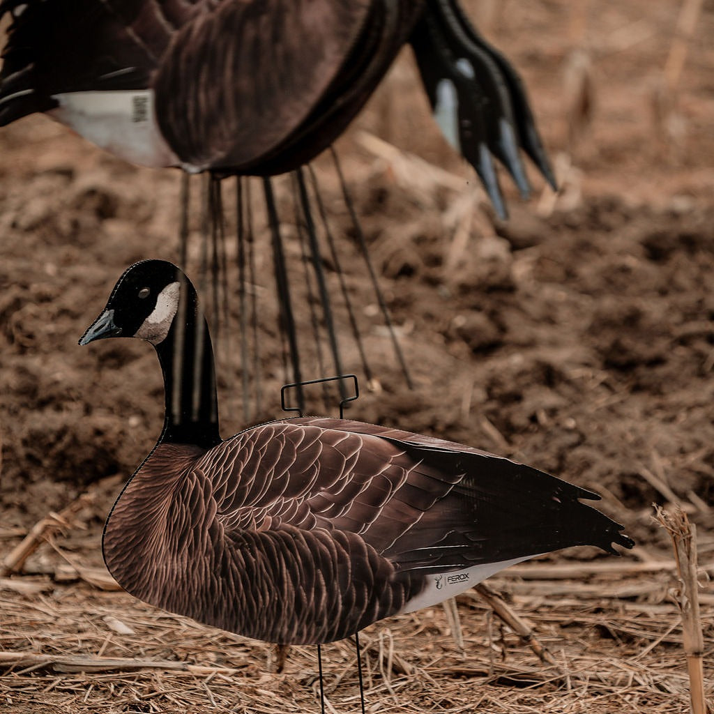 FEROX Flyway Series - Head Flocked Canada Goose Silhouette Decoys – 60 Pack &amp; Classic Khaki Bag