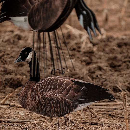 FEROX Flyway Series - Head Flocked Canada Goose Silhouette Decoys – 60 Pack &amp; Classic Khaki Bag