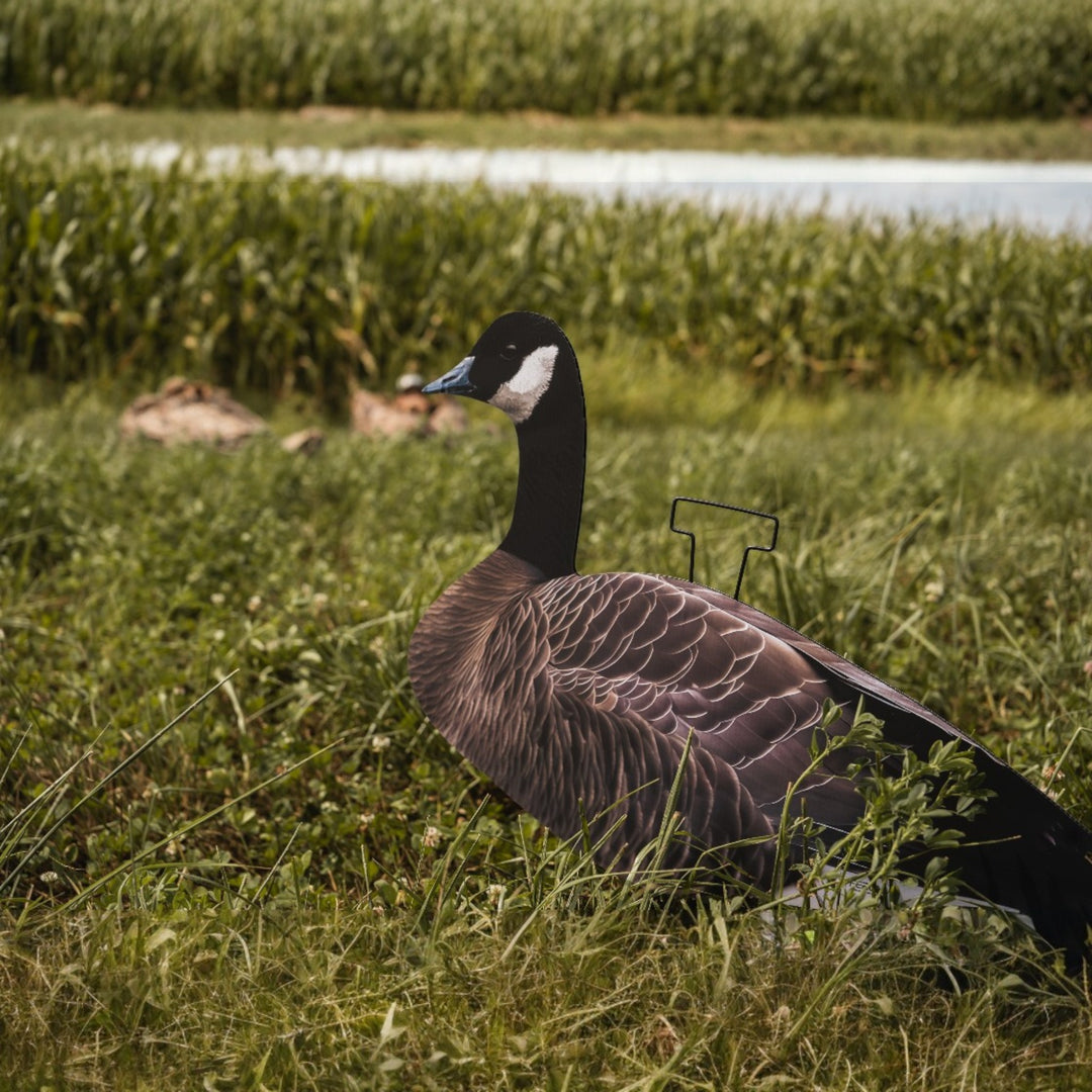 Canada Goose Silhouette Decoys- FEROX Outdoors Co.