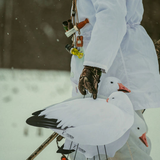 Appelants Silhouettes Oie des Neiges Dormeuse