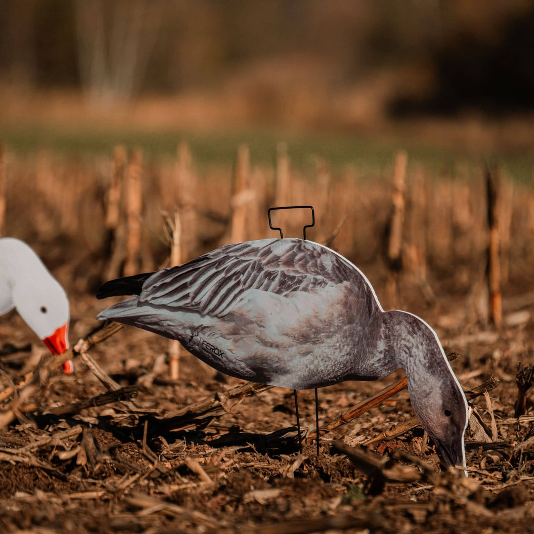 Fully Flocked Juveniles Snow Goose Silhouette Decoys
