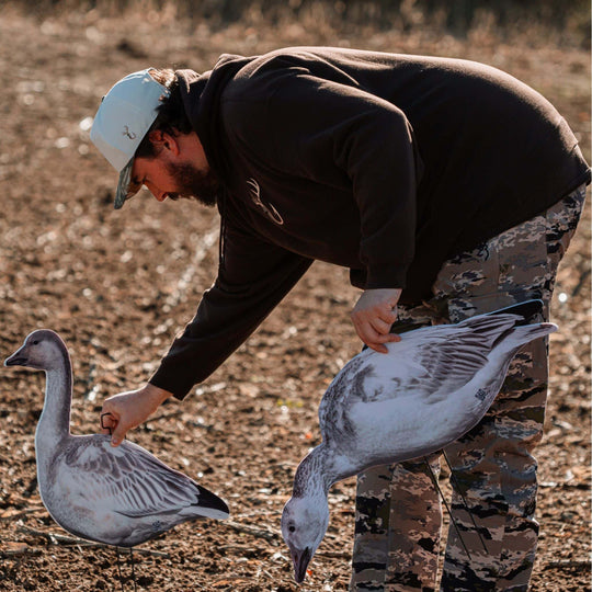 Fully Flocked Juveniles Snow Goose Silhouette Decoys