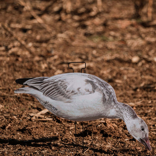 Fully Flocked Juveniles Snow Goose Silhouette Decoys