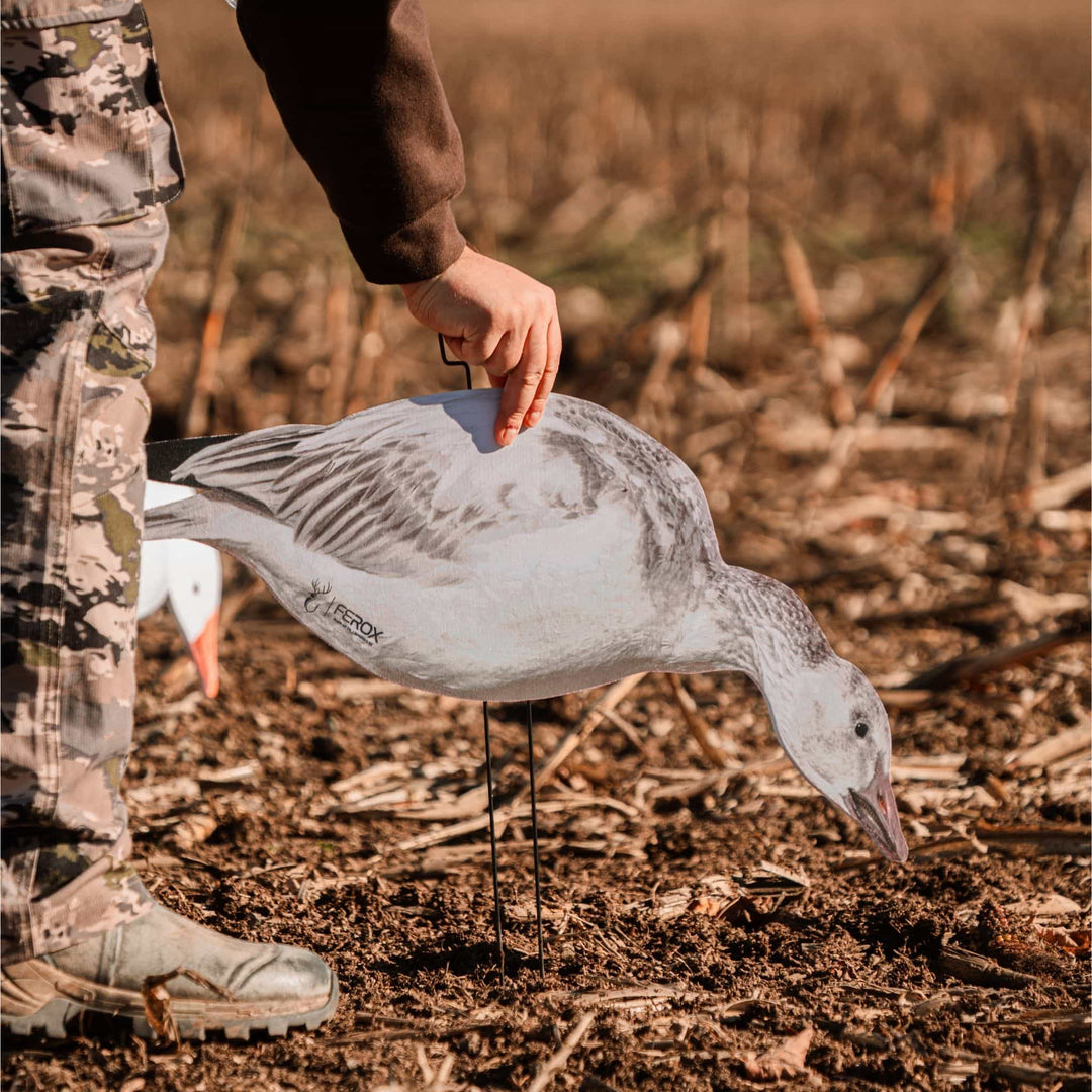 Fully Flocked Juveniles Snow Goose Silhouette Decoys