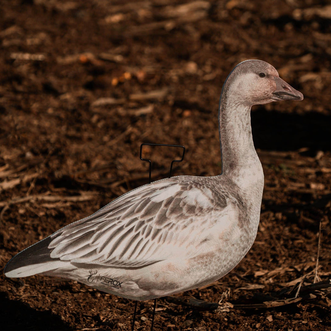 Fully Flocked Juveniles Snow Goose Silhouette Decoys