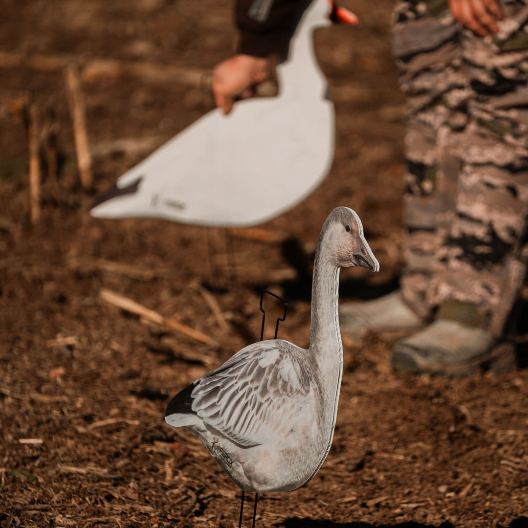 Fully Flocked Juveniles Snow Goose Silhouette Decoys