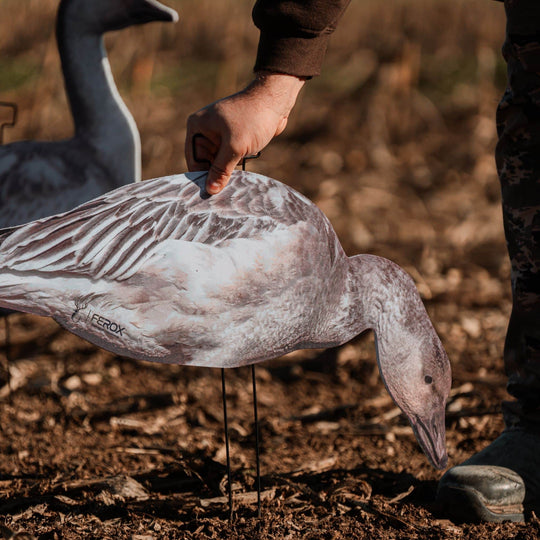 Fully Flocked Juveniles Snow Goose Silhouette Decoys