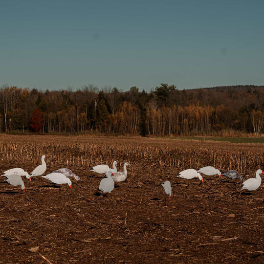 Fully Flocked Snow Goose Silhouette Decoys