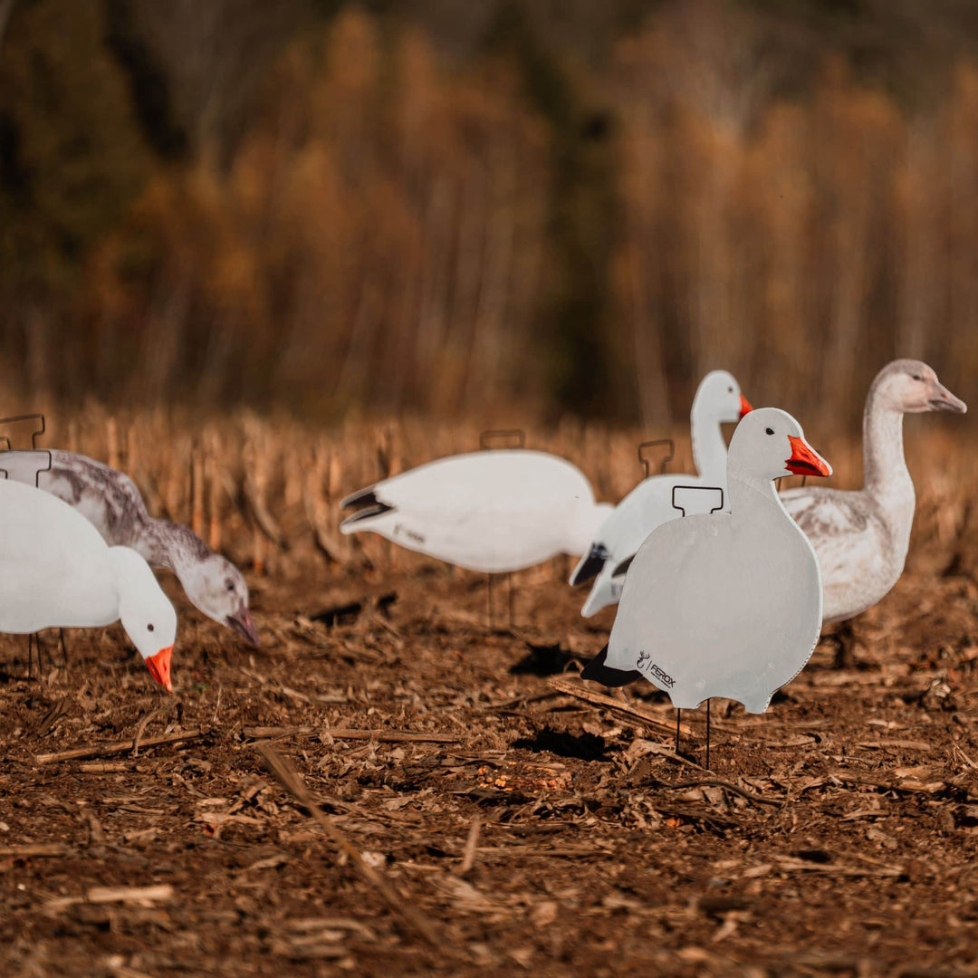 Fully Flocked Snow Goose Silhouette Decoys