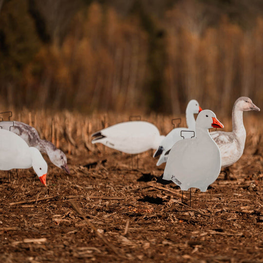 Fully Flocked Snow Goose Silhouette Decoys